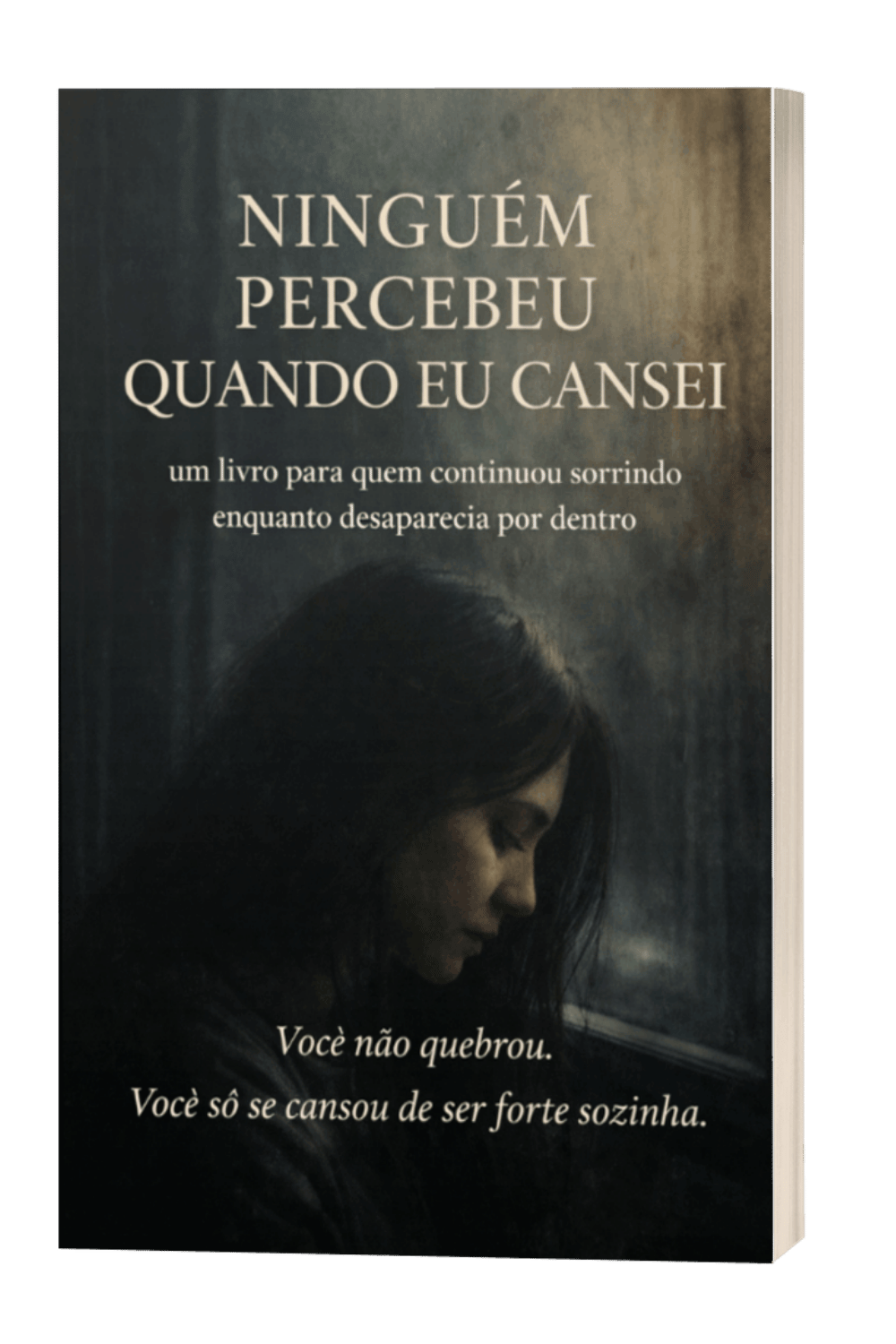 Capa do livro Ninguém Percebeu Quando Eu Cansei